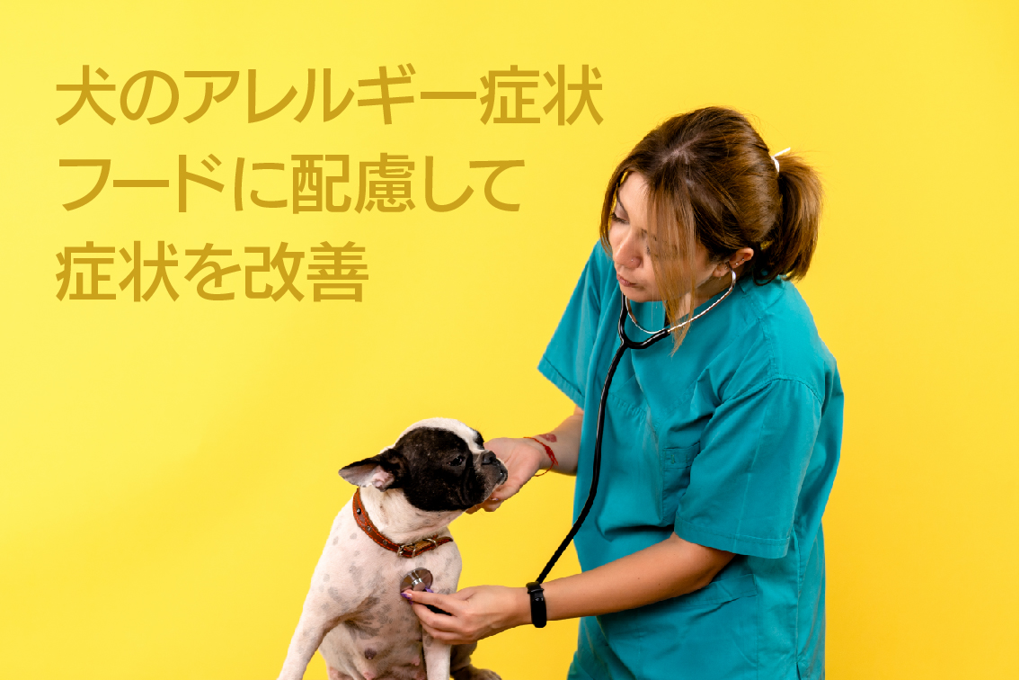 犬のアレルギー症状を詳しく解説 飼育環境やフードに配慮して症状を改善しよう ミニチュアシュナウザーroyの愛犬生活blog